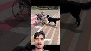 The most epic animal rescues a human caught on camera. #rescue #kindness kindness #shorts#रेस्पे
