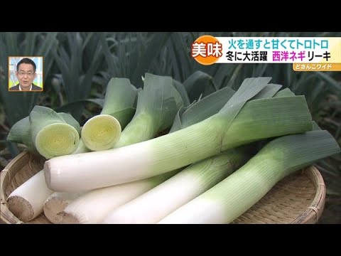 ときめき野菜通信 冬に活躍 西洋ねぎ リーキ どさんこワイド179 21 11 24放送 Youtube