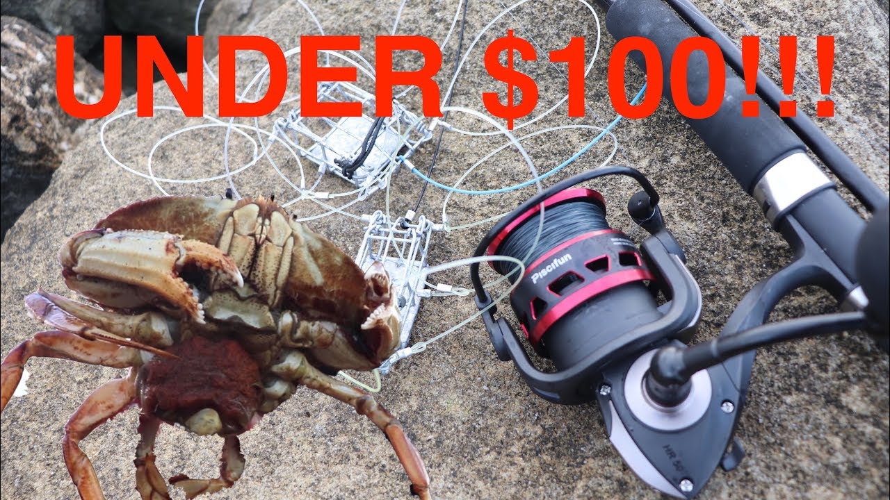 Catch Unlimited Delicious Crabs for less than $100!!! 