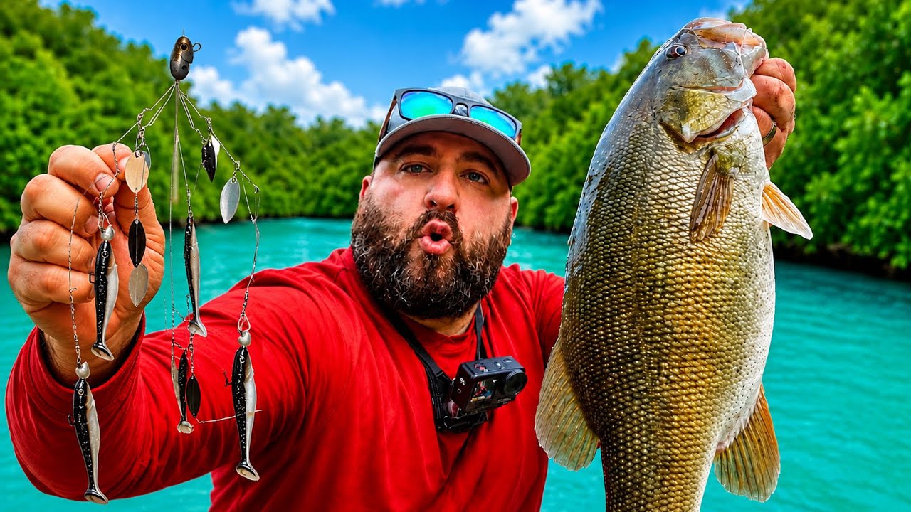 CREEK FISHING for BIG Smallmouth Bass with A-Rigs!