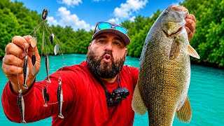 CREEK FISHING for BIG Smallmouth Bass with A-Rigs!