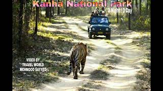 Kanha National Park Tour | BY TRAVEL WORLD । कान्हा नॅशनल पार्क । ITINERARY