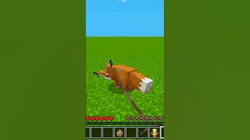 Minecraft Hack That You Should Try #shorts #viral