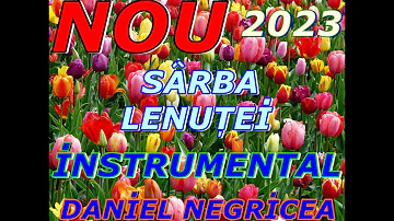 █▬█ █ ▀█▀-2023-SARBA LENUTEI---DANIEL NEGRICEA--[DOMN PROFESOR DANCIU]