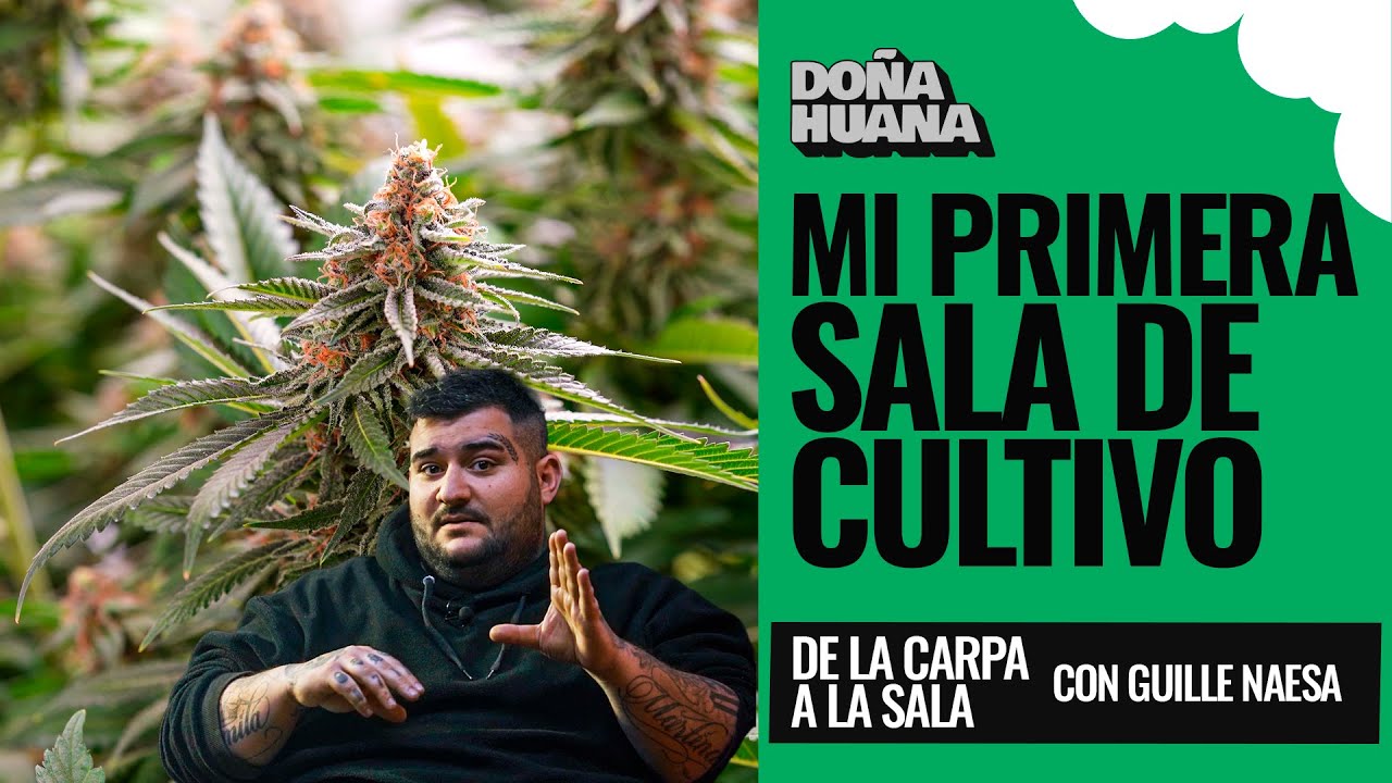 INFORMACION  PARA MI PRIMER  SALA DE CULTIVO - CON GUILLE NAESA