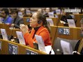 Future of EU: citizens ask the institutions how they will follow-up on their recommendations