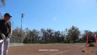 DeMarini 2015 Corndog Slowpitch Softball Bat - WTDXCDSOO
