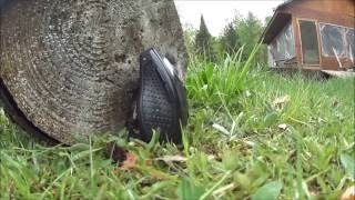 22LR vs. Wireless mouse @200ft