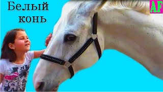 #Анжела гладит #белого коня #Ускакала поля молодая лошадь Детская песенка #Анжела гладит #белого коня #Ускакала поля молодая лошадь Детская песенка