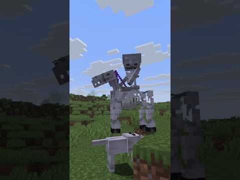 How to Team Skeleton Horse in Minecraft