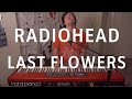 Radiohead - Last Flowers (Cover by Joe Edelmann)
