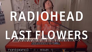 Video thumbnail of "Radiohead - Last Flowers (Cover by Joe Edelmann)"