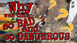 Tree Rigging *GONE WRONG* / Explained Wealth