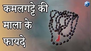 कमलगट्टे की माला के फायदे Ll Benefits Of Wearing Kamalgatta Mala Ll On Shivaago