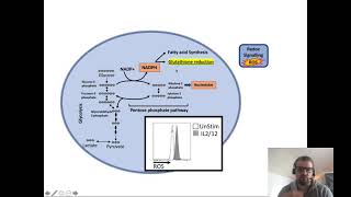 Lecture 2 - TCD Immunometabolism lecture series