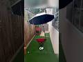 ☂️ Umbrella w/ Adjustable Clamp Review | Beach & Sports Must! 🌞 || #productreview @Shopportunities