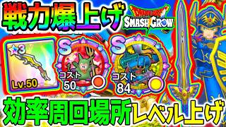 【スマグロ】『効率おすすめ周回場所』1本で分かる！最新育成法！全クリ攻略者／戦力上げ方／レベル上げ【Dragon Quest SmashGrow DQ ドラクエ ドラゴンクエストスマッシュグロウ