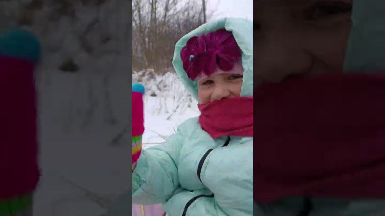 🥁📢Панама і 🛷🐎сани 🤝