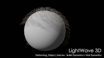 LightWave 3D: Deforming Object Hair scene rendered