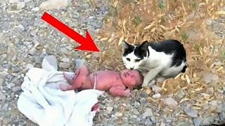 15 Hero Animals that Saved Human Lives !