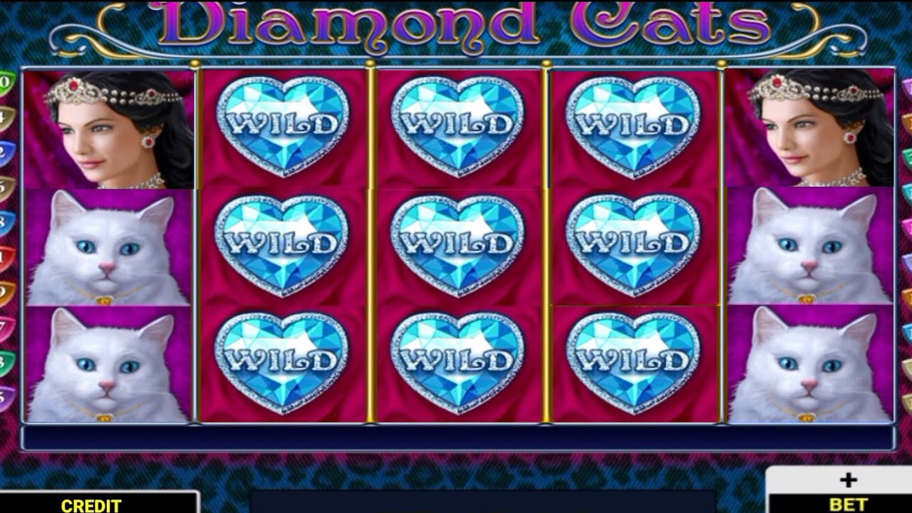 DIAMOND CATS CASINO / BONUS AFTER BONUS UNTIL I GET WHAT I WANT 🔥🔥☝️