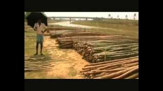 Bazar Dhaka Sylhet Highway In Nabigonj Bangladesh Amay Jodi Proshno Kore Alo Nodir Desh D3