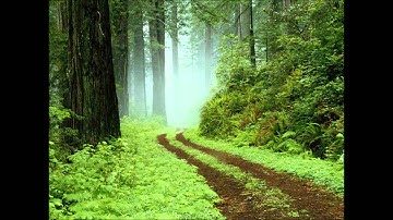 آخر سورة الفتح وسورة الضحى