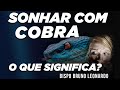 SONHAR COM COBRA, O QUE SIGNIFICA?