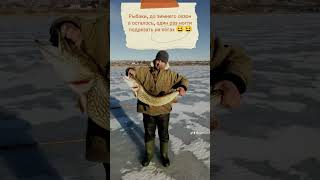 скоро зима #зимняярыбалка #fishing #рыбалка #жерлица #прикол #рекомендации