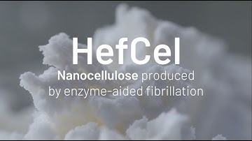 HefCel: Nanocellulose produced by enzyme-aided fibrillation