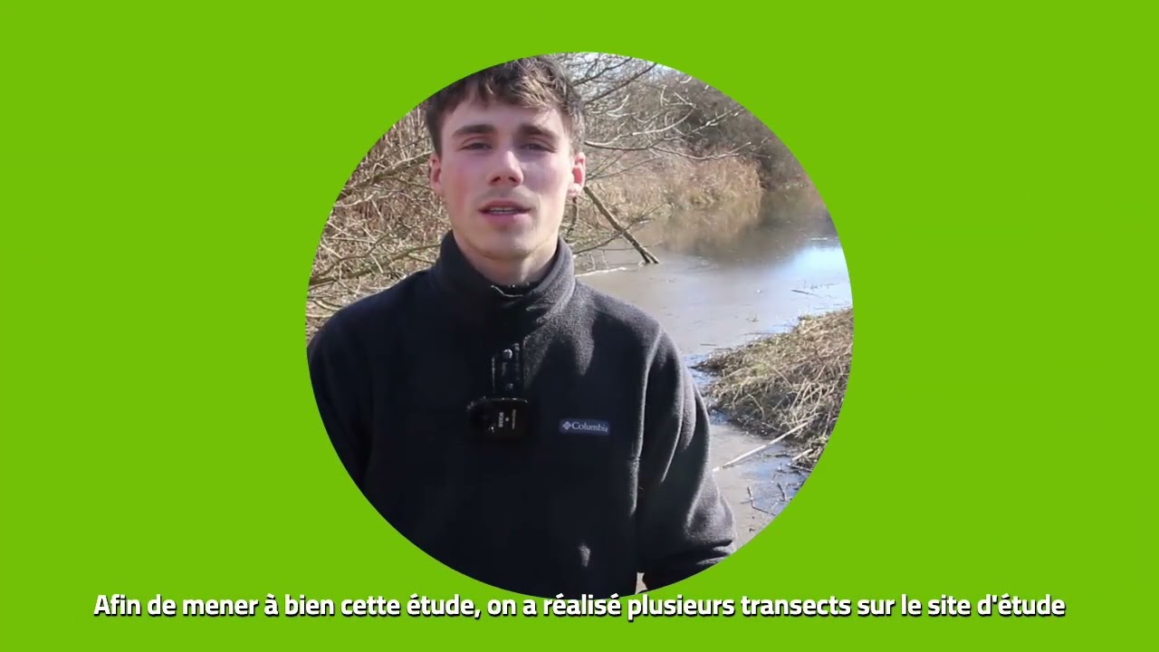 Reconnexion d'une annexe hydraulique à la rivière Allier sur la commune de Joze dans le Puy de Dôme