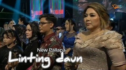 LINTING DAUN VOC ALL ARTIS NEW PALLAPA LIVE TEGAL 2022