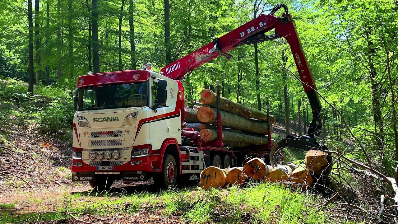 SCANIA R580 V8 OPEN PIPE - TRANSPORTS SADLER 🚚 | GRUMIER 