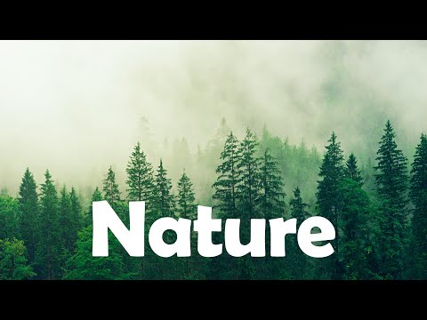 Nature No Copyright Music Nature Music No Copyright Vlog No Copyright Music 