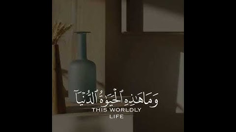 حالات واتس اب دينية/مقاطع انستقرام مؤثرة/قران كريم/انستا ستوريات❤. القارئ #ياسر_الدوسري