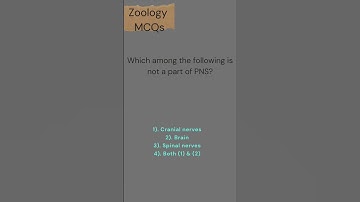 Neural Control and Coordination | Class 11 | Zoology MCQs | Neet 2023-24 | Daksh Kunj