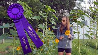 Grand Champion Winning Flowers & First Fruits