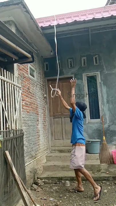 video viral tiktok lucu bikin sakit perut #ngakak #comedy #funny