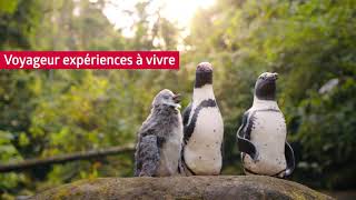 Aventura La Carte-Voyage Des Voyageurs. Mc