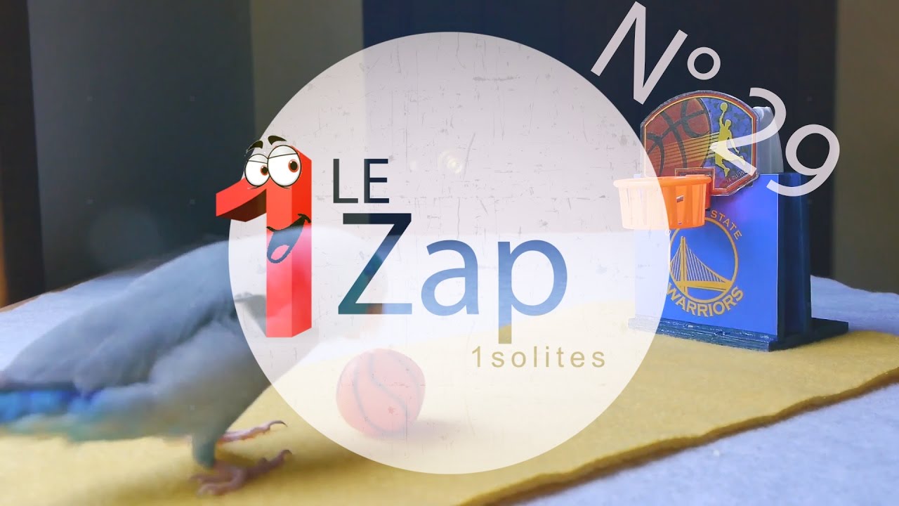 Le Zap 1solites n°29