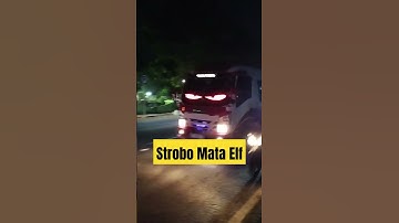 Strobo mata elf #strobo #strobomata #elf #trending #topshort