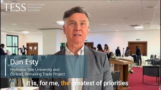 Trade & Sustainability Priorities: Dan Esty (Remaking Trade Project)