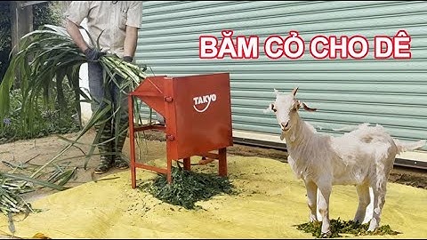 Máy băm cỏ voi cho dê cho bò động cơ 2hp dùng điện 1 pha 220v, bảo hành 18 tháng