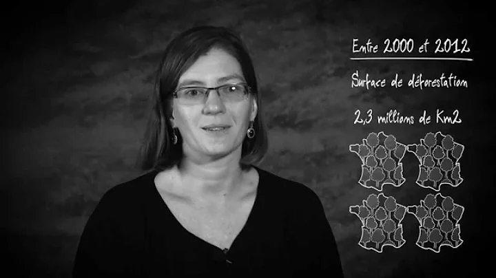 Parole d'Expert - Gretchen Walters - La dforestation