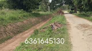 ID..183..9731865069..6361645130
