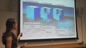 Nanotechnology and the Environment - A General Introduction