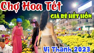 Hoa Kiểng Độc Lạ Tại CHỢ HOA TẾT GIÁ RẺ VỊ THANH 2023  Vạn Thọ 20K, Mai Tết Chỉ Vài Trăm Ngàn |KPVL