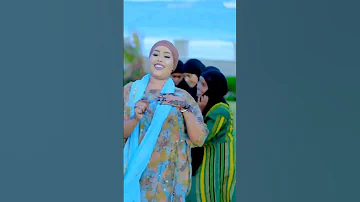 DHAANTO CUSUB ABWAAN CABDI BAAG IYO SAFIYA SAAFI 