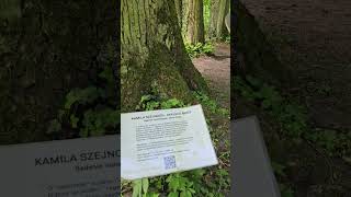 Czakram w Orońsku czyli o potędze legendy i ... prasy #art #stone #nature