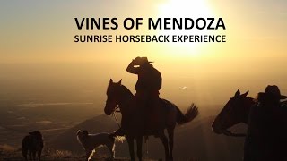 Mendoza Series: Sunrise Horseback Experience up the Andes Mountains
